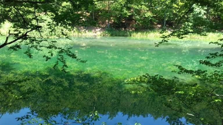 Apartmani Grza Paraćin Dış mekan fotoğraf