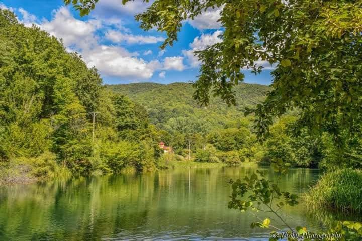 Apartmani Grza Paraćin Dış mekan fotoğraf