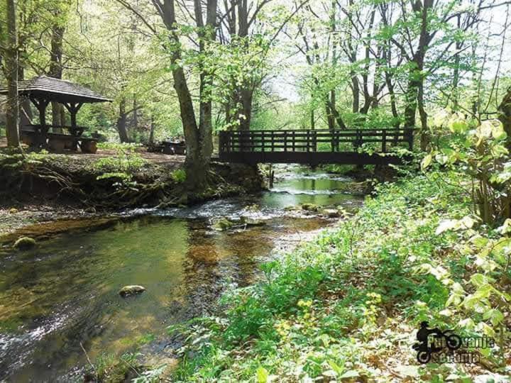 Apartmani Grza Paraćin Dış mekan fotoğraf