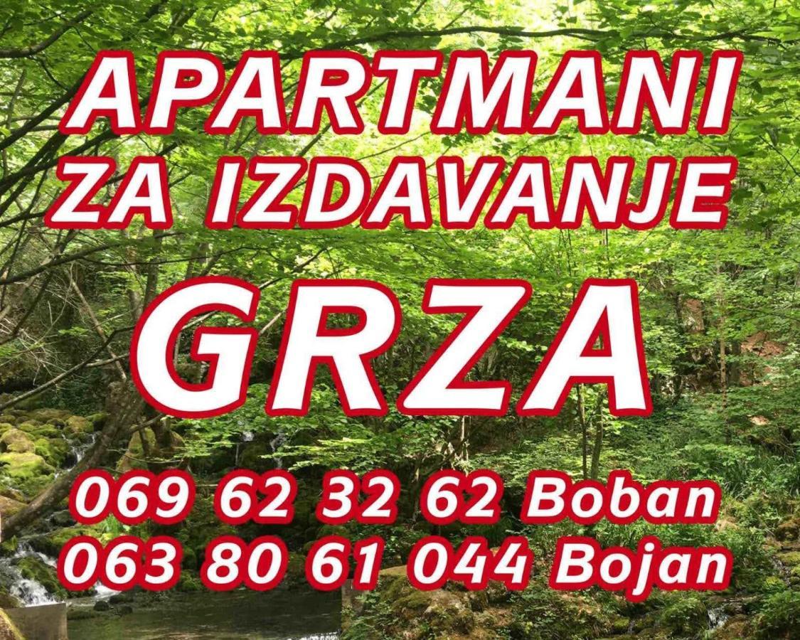 Apartmani Grza Paraćin Dış mekan fotoğraf