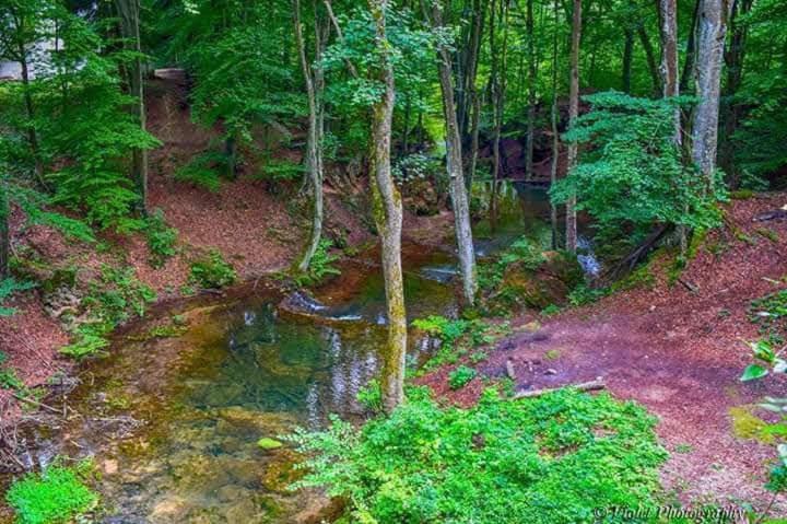 Apartmani Grza Paraćin Dış mekan fotoğraf