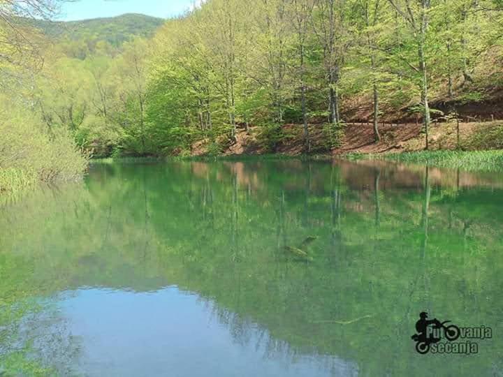 Apartmani Grza Paraćin Dış mekan fotoğraf