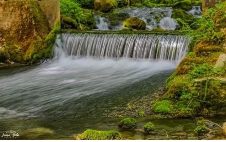 Apartmani Grza Paraćin Dış mekan fotoğraf