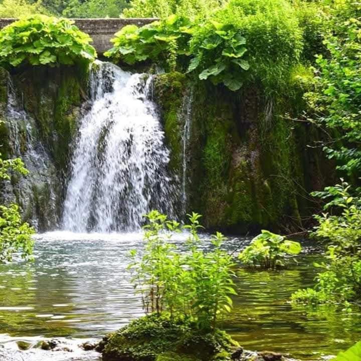 Apartmani Grza Paraćin Dış mekan fotoğraf