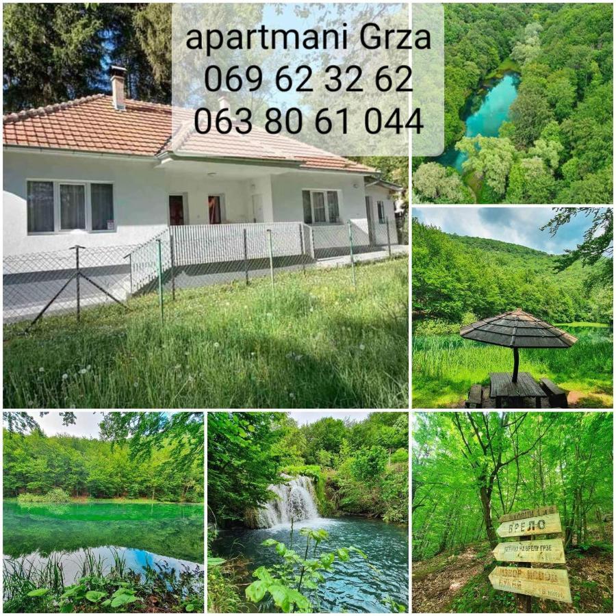 Apartmani Grza Paraćin Dış mekan fotoğraf
