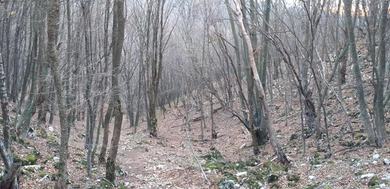 Apartmani Grza Paraćin Dış mekan fotoğraf