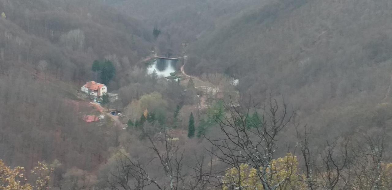 Apartmani Grza Paraćin Dış mekan fotoğraf