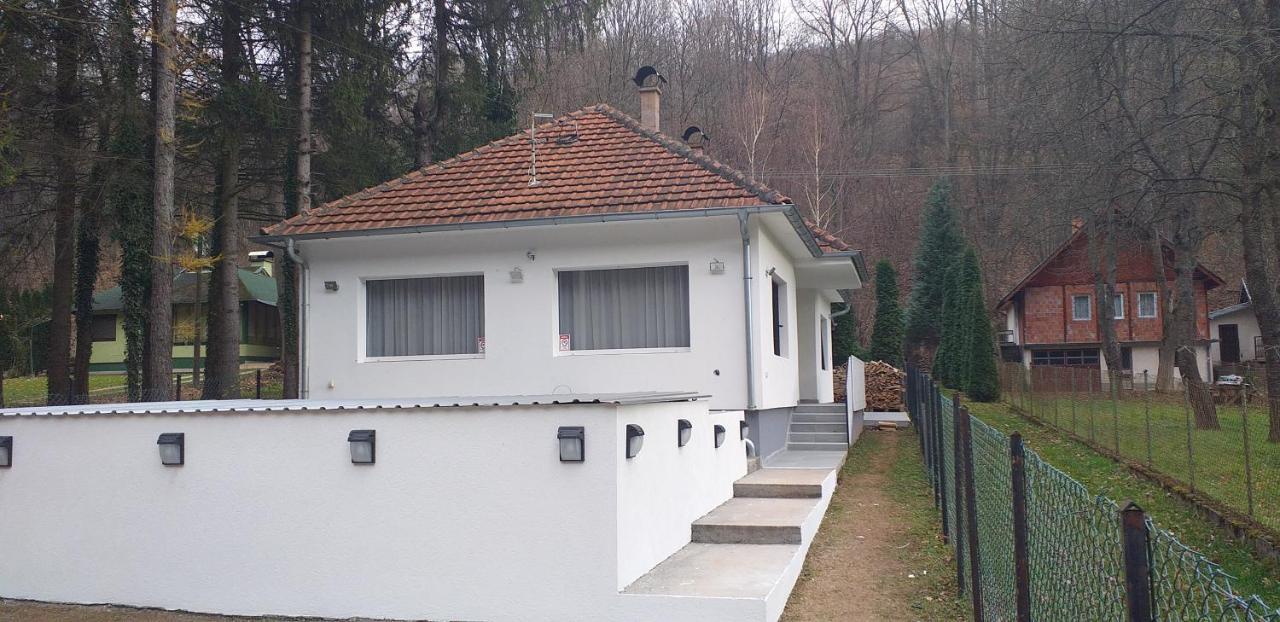 Apartmani Grza Paraćin Dış mekan fotoğraf