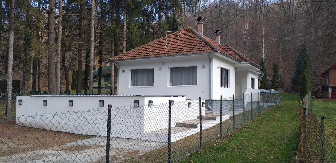 Apartmani Grza Paraćin Dış mekan fotoğraf