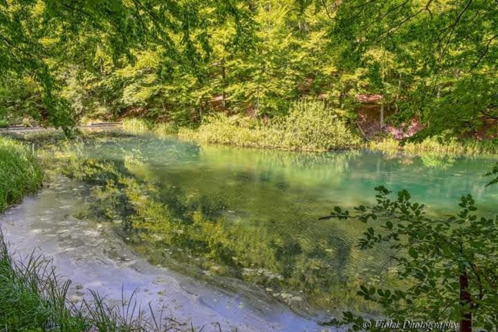 Apartmani Grza Paraćin Dış mekan fotoğraf